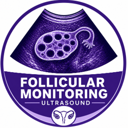 Follicular Monitoring